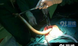 91直播.com,打造全新直播体验，引领行业潮流